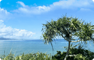 ガジュマルの木